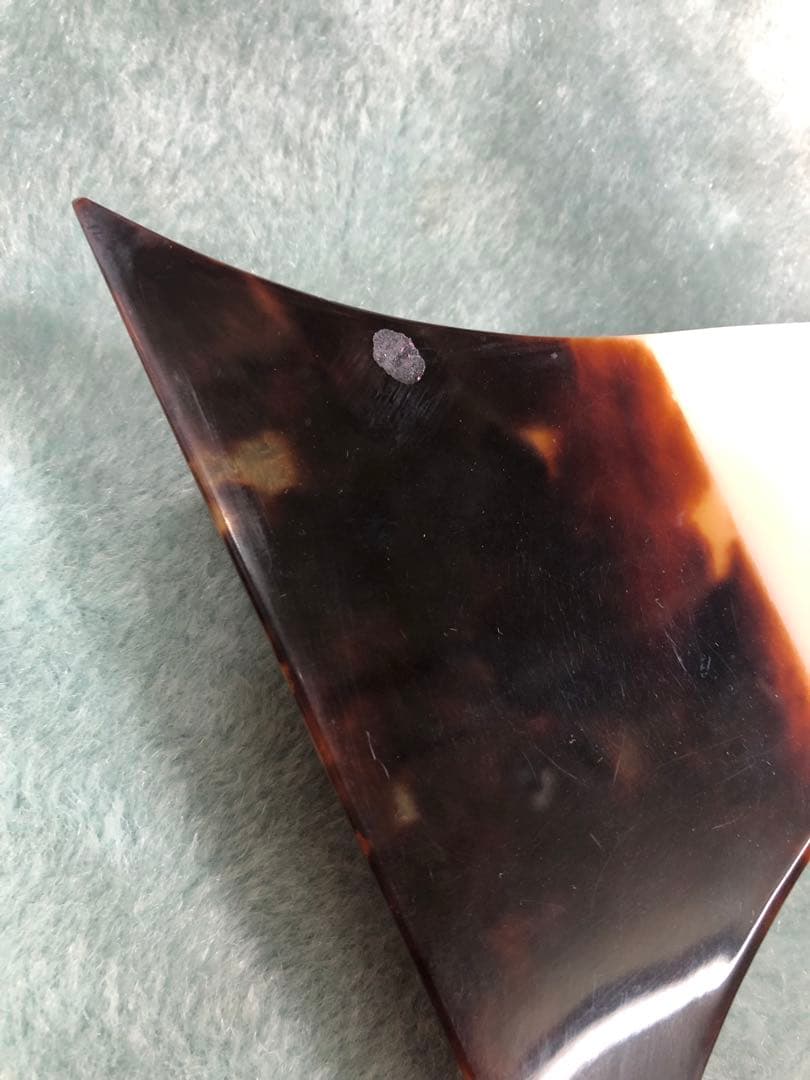 this shamisen